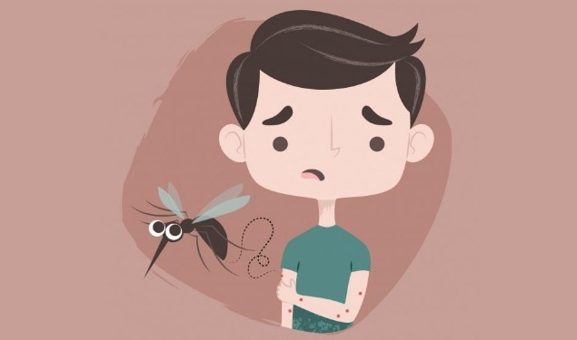 Домедична допомога при укусах тварин, змій, отруйних комах та павуків. Практичні поради