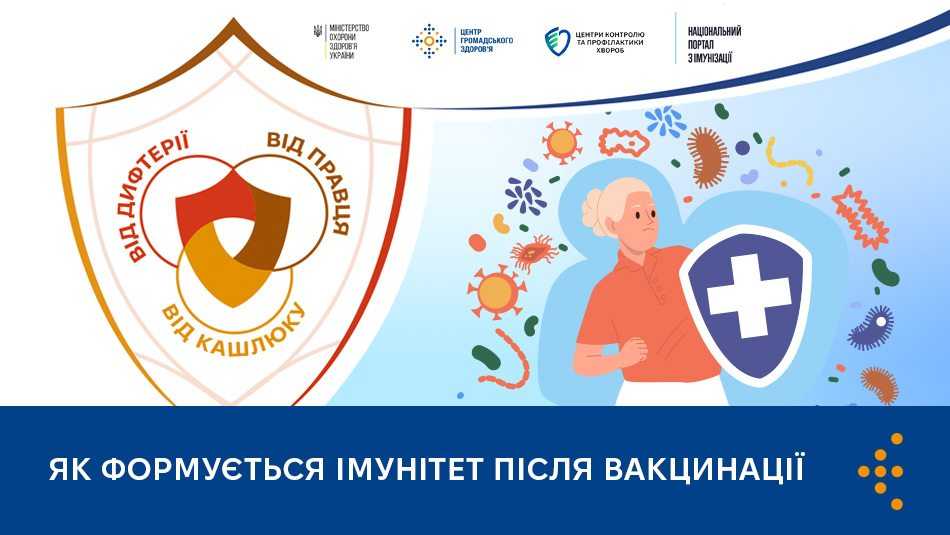 Як формується імунітет після вакцинації